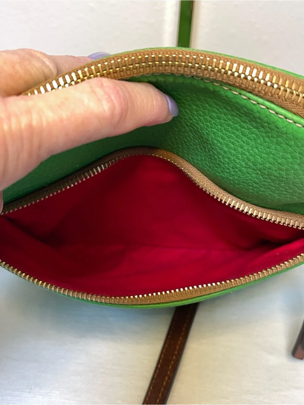 Dooney & Bourke Green Pebbled Leather Crossbody with Brown Trim